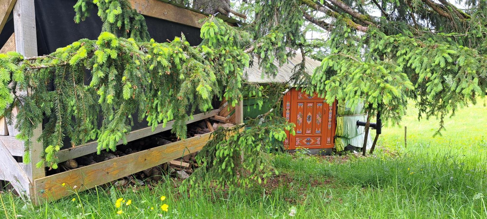 La Petite Echelle Ξενοδοχείο Rochejean Εξωτερικό φωτογραφία